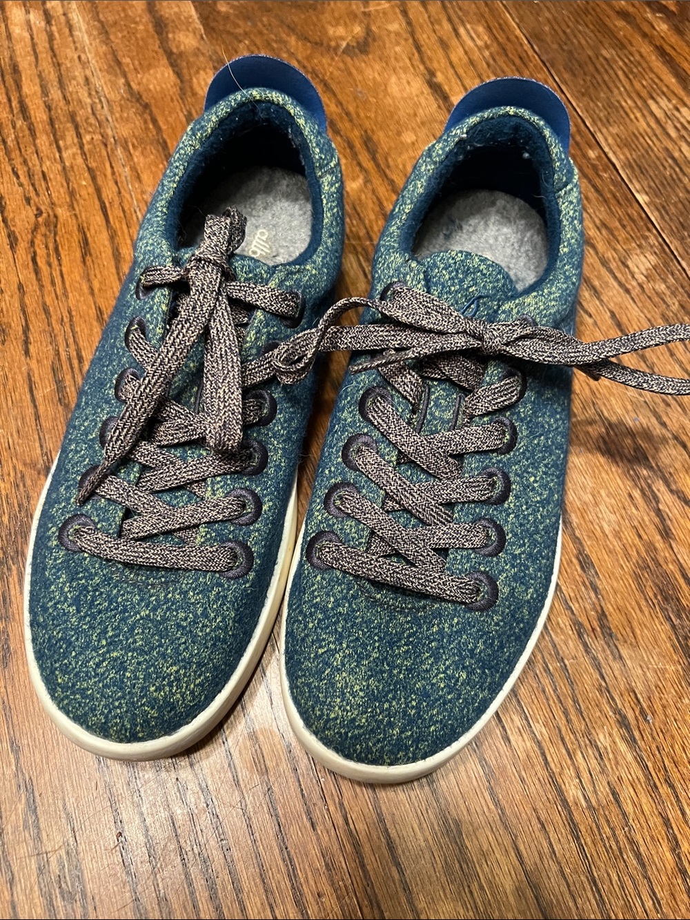 Allbirds Wool Piper Shoes Sneakers in Garden Blue